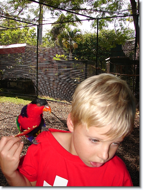 Click for the original image